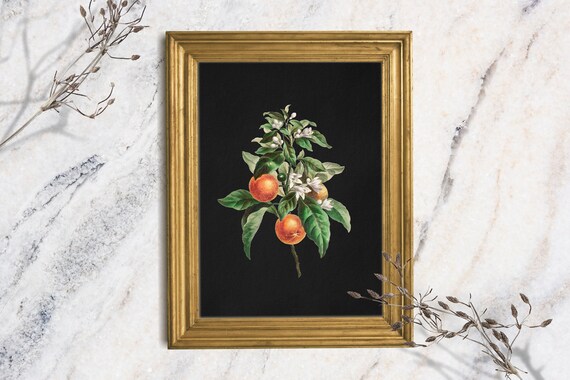 Clementine Art Print Unframed Vintage Oil Painting Print Dark Moody Still Life Small Shelf Art Rustic Farmhouse Kitchen Fruit Art Print