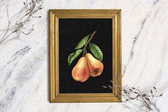 Pear Branch Art Print Pear Still Life Oil Painting Moody Pear Art Original Oil Art Painting Print French Country Art Kitchen Art