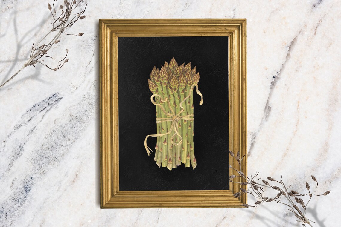Moody Asparagus Bundle Tied with Ribbon Black Background Kitchen Art Print