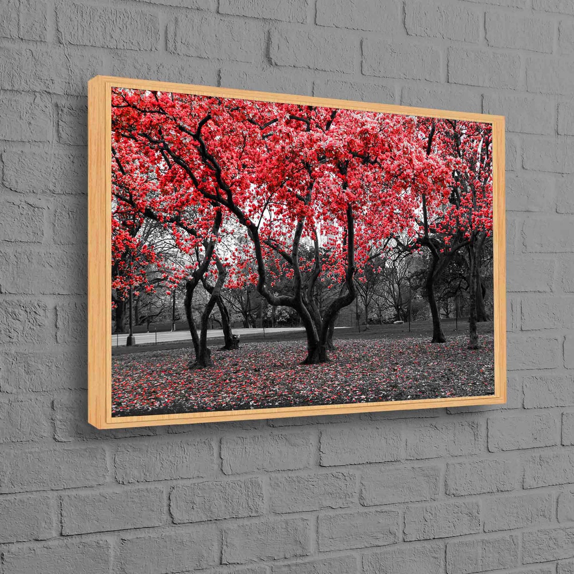 Red Blossom Trees Color Splash Black and White Nature Poster Art