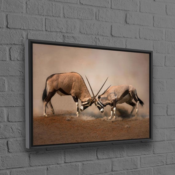 Gemsbok Canvas Decor Personalized Gift For Mom Loft Animal Poster Wildlife Bohemian Wall Art