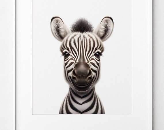 Baby Zebra Portrait Safari Animal Print Nursery Kids Room Black White Art