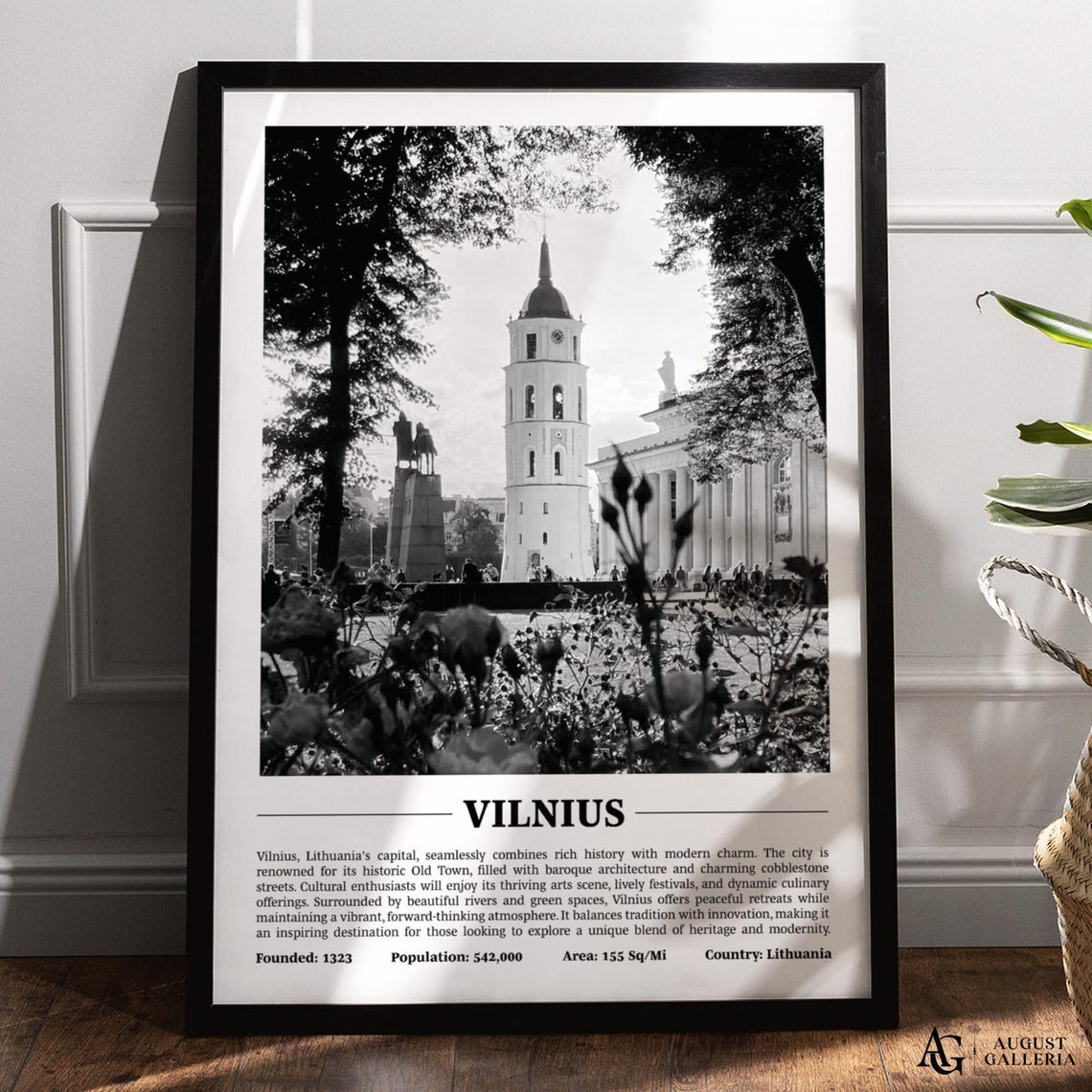 Vilnius Lithuania Black and White City Cathedral Bell Tower Poster