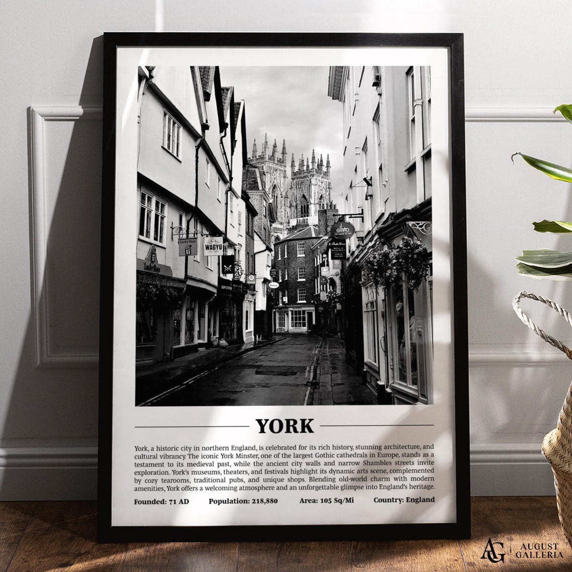 York England Black and White City York Minster Shambles Poster