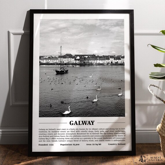 Galway Bay Harbor Swans Claddagh Black White Ireland City Travel Poster