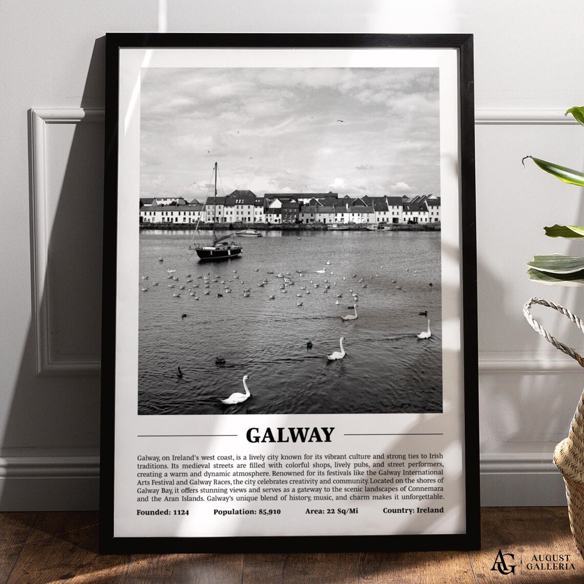 Galway Bay Harbor Swans Claddagh Black White Ireland City Travel Poster