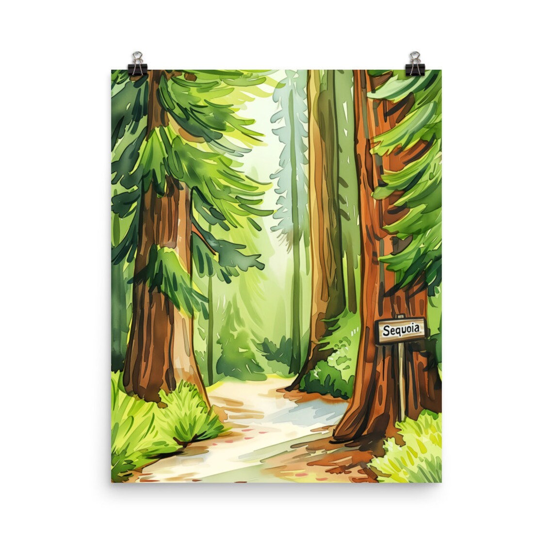 Sequoia National Park Redwood Forest Trail Watercolor Poster