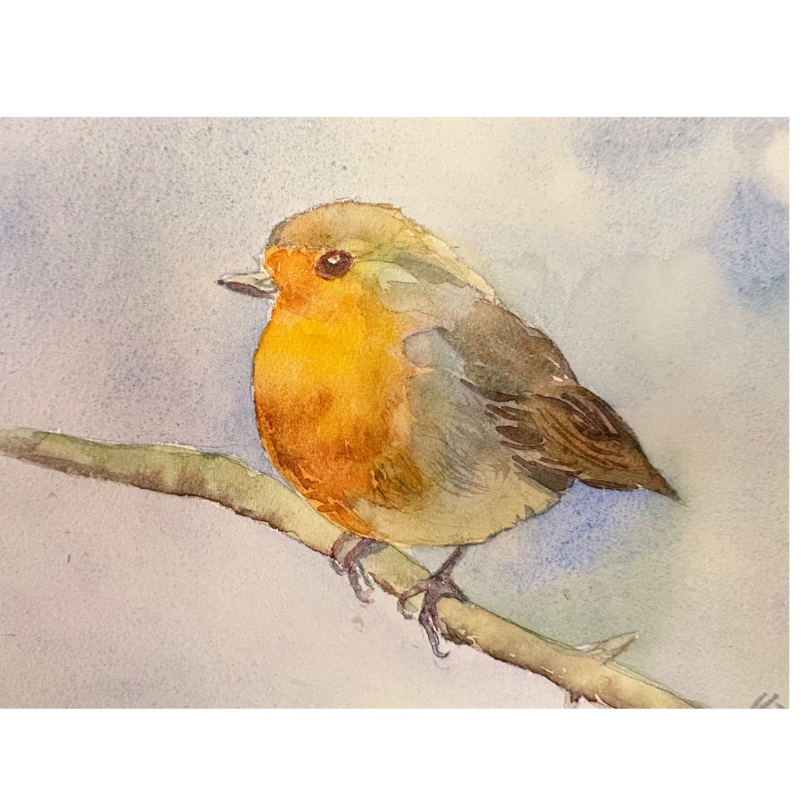 European Robin on Bare Branch Soft Blue Watercolor Garden Poster - Image 5
