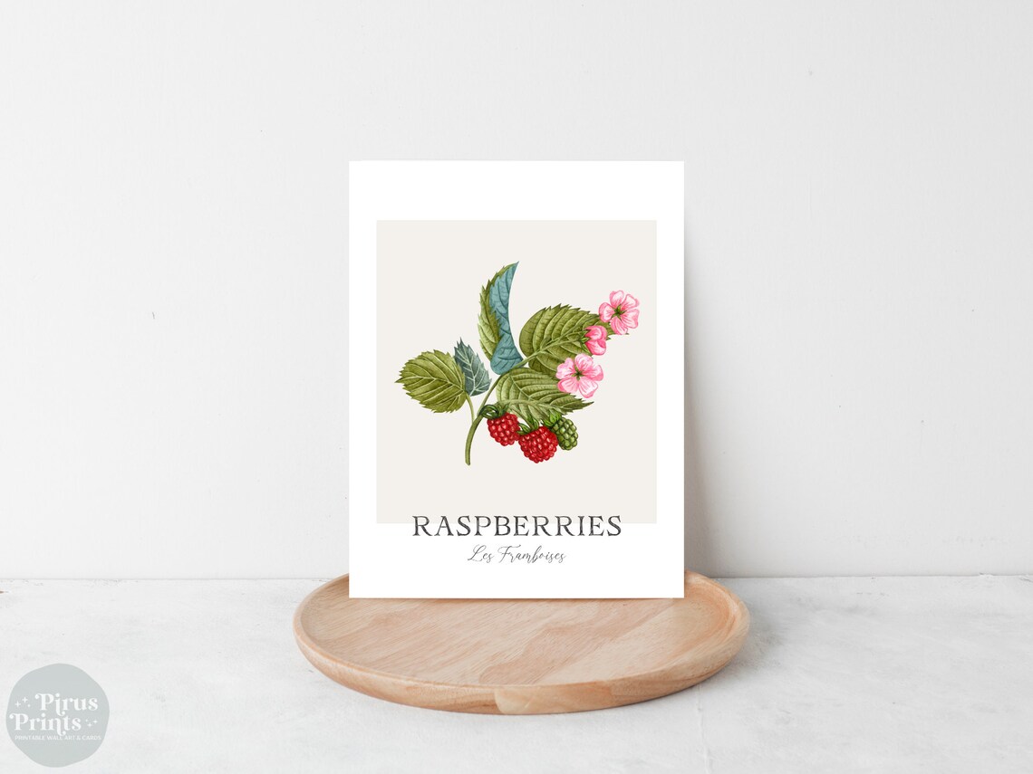 Raspberries Watercolor Botanical Kitchen Art Print - Image 2