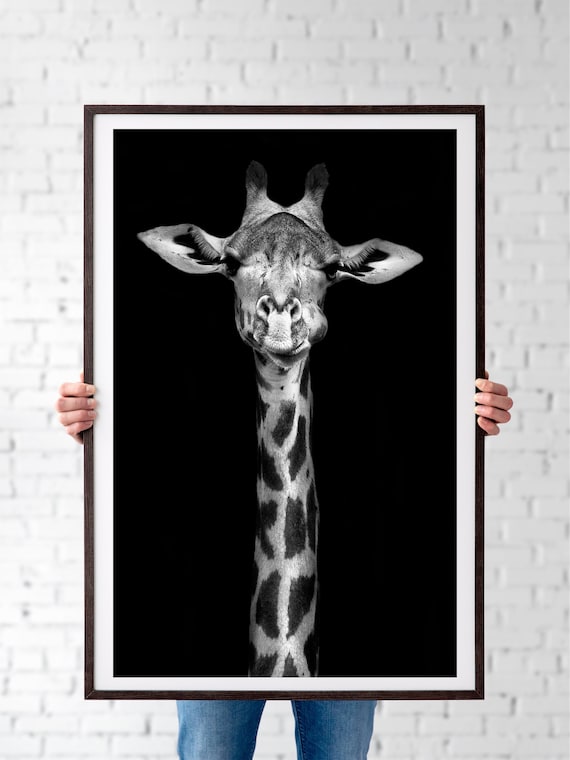 Black And White Giraffe Print, Monochrome Bathroom Art