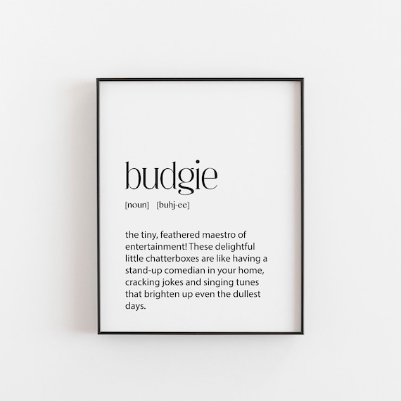Budgie Gifts Definition Print, Funny Home Decor