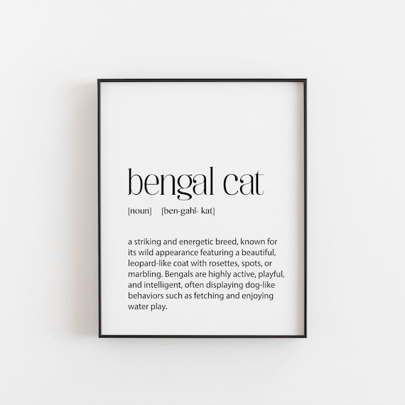 Bengal Cat Breed Definition Dictionary Wild Leopard Look Poster