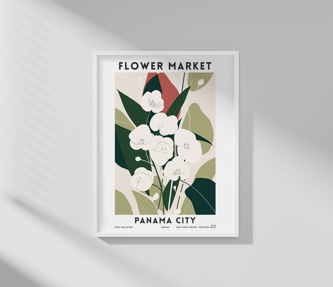 Panama City Flower Market White Orchid Panama Botanical Art Poster - Image 3