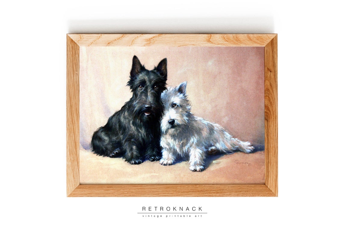 Scottish Terrier and West Highland Terrier Vintage Dog Portrait Poster - Image 2