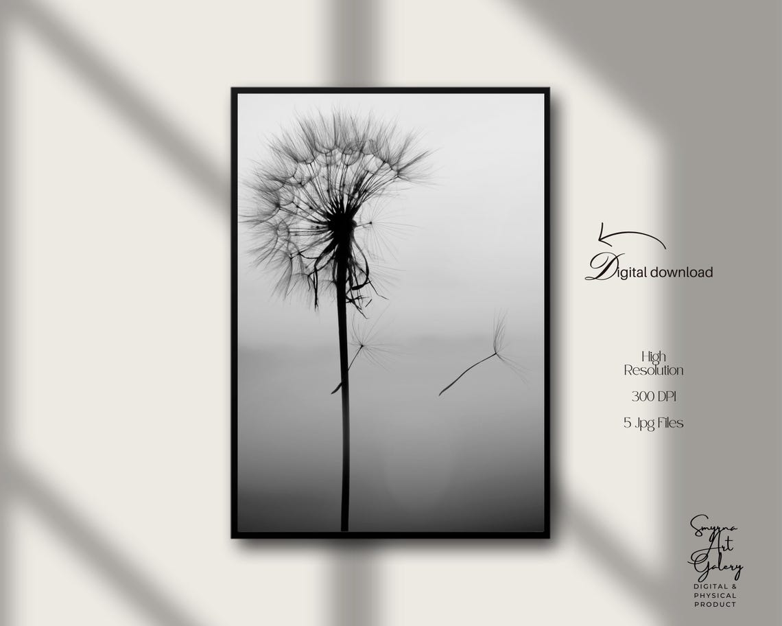 Black And White Dandelion Seed Head Minimalist Botanical Photo Poster