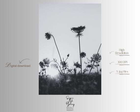 Minimalist Botanical Print Black And White Floral Silhouette