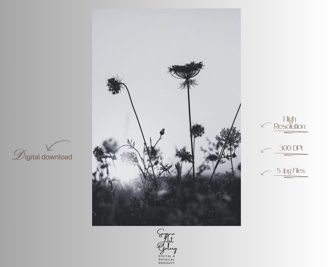 Minimalist Botanical Print Black And White Floral Silhouette
