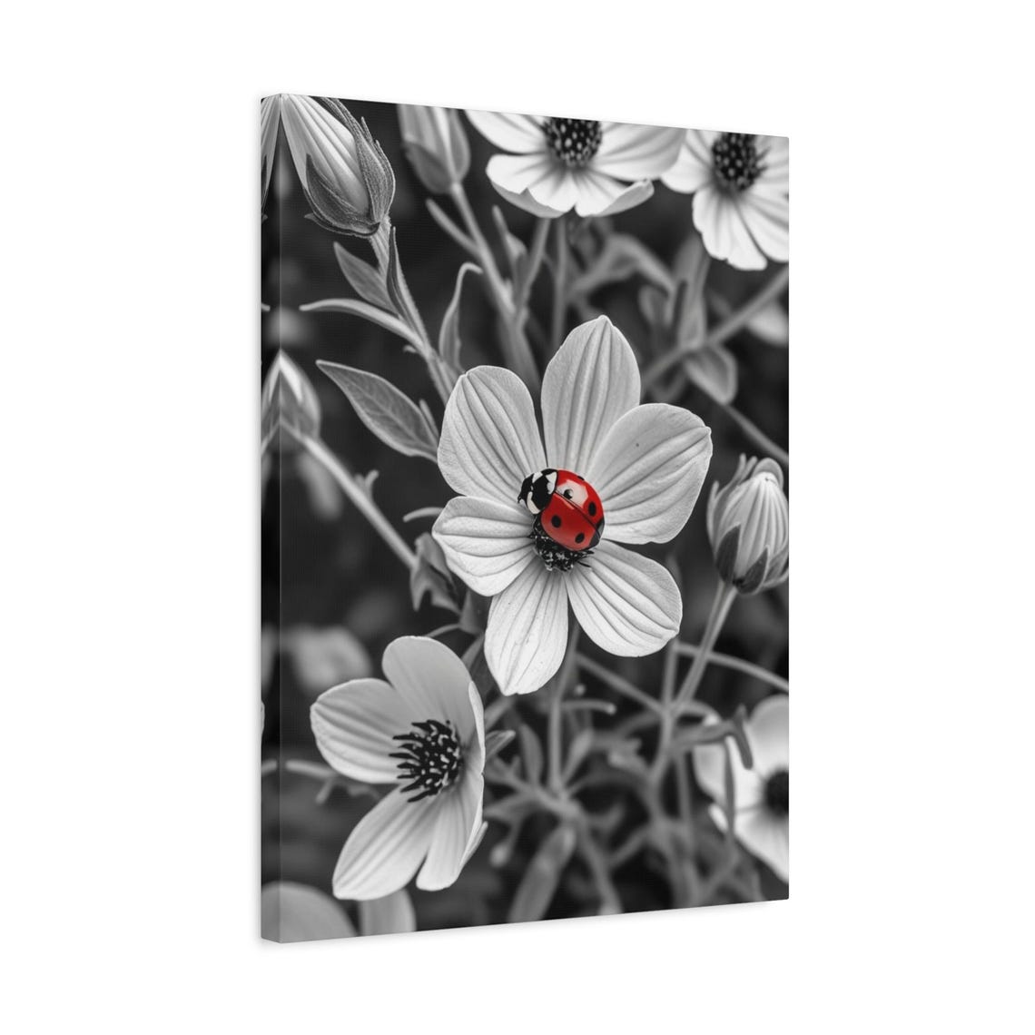 Ladybug Red Color Splash Black White Flower Macro Photography Poster