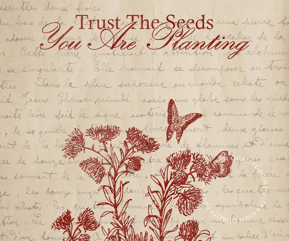 Trust The Seeds You Are Planting Red Botanical Quote Wall Poster - Image 5