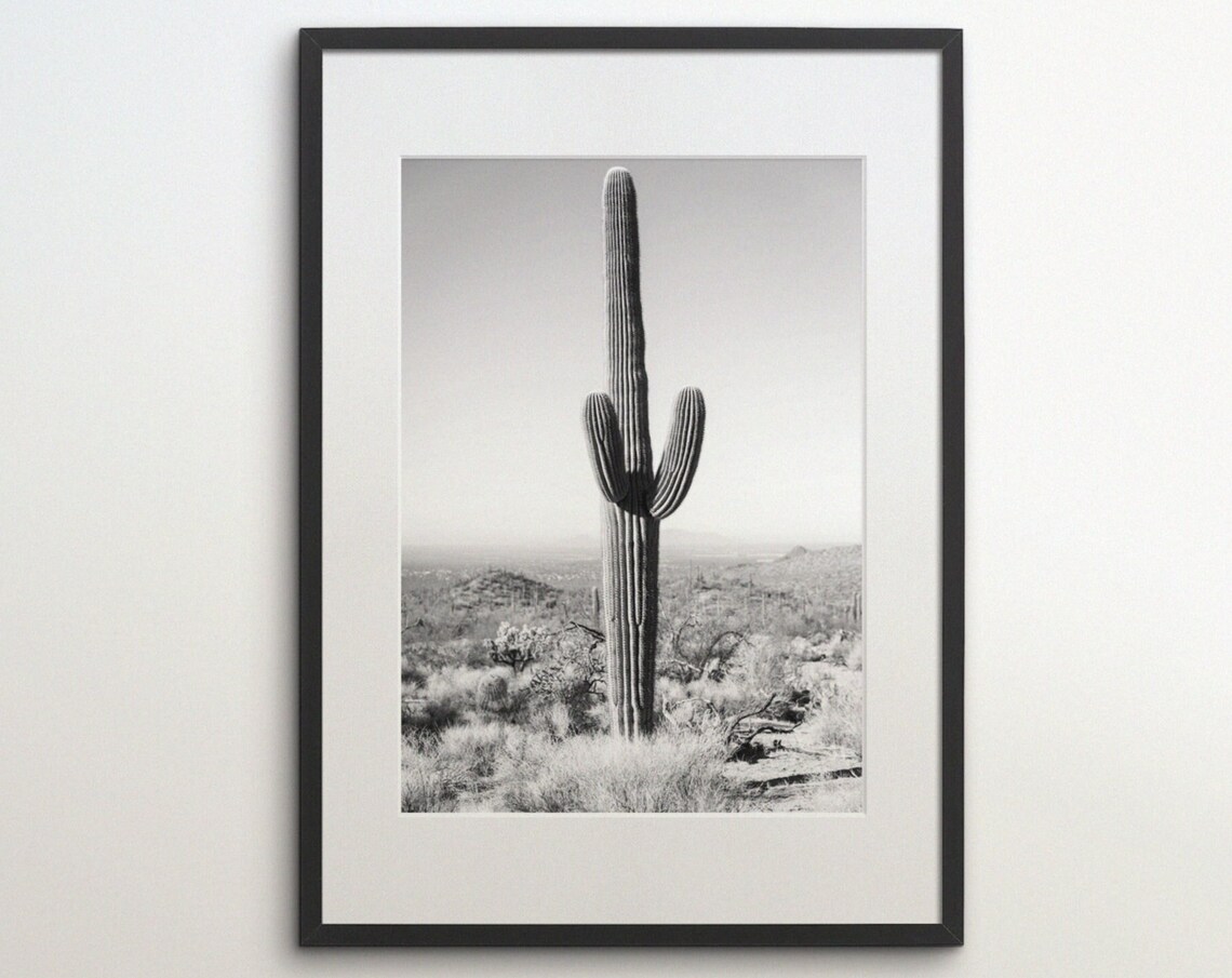 Saguaro National Park Arizona Travel Poster, Cactus