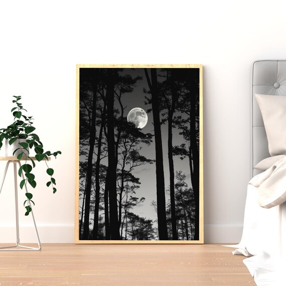 Full Moon Over Forest Silhouette Black and White Night Print