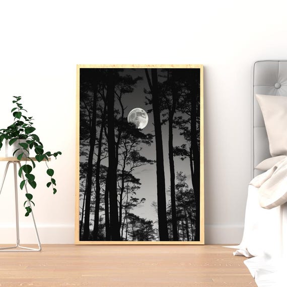 Moon Through Forest Trees Poster Black And White Physical Wall Art Print Minimalist Matte Paper For Japandi Or Modern Home Decor