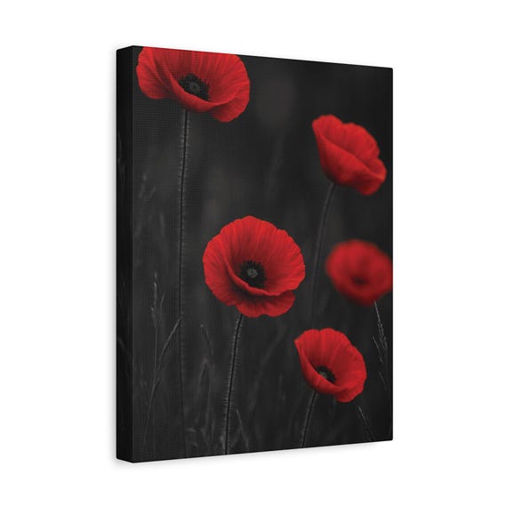 Red Poppy Wall Art Minimalist Floral Print Black And White Nature Photography Bold Botanical Home Decor