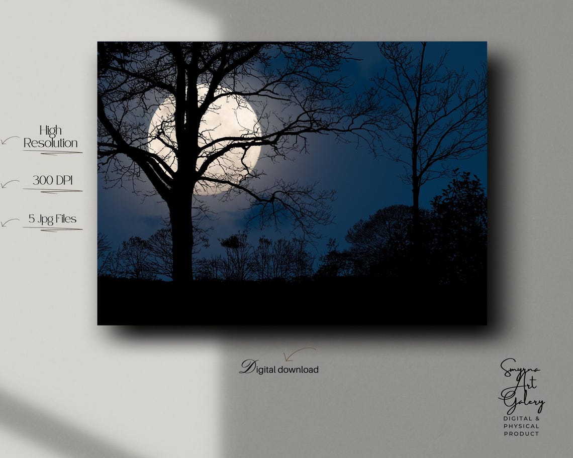 Full Moon Behind Bare Tree Silhouette Moody Midnight Sky Night Poster