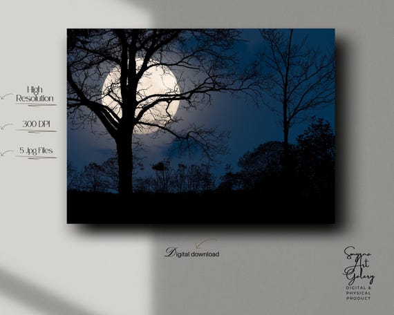 Full Moon Night Wall Art Dark Tree Silhouette Poster Moody Landscape With Midnight Sky