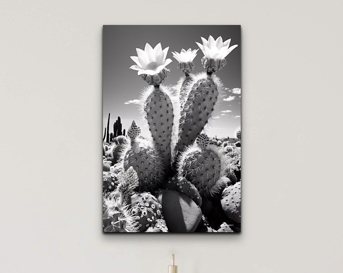 Black And White Flowering Cactus Desert Botanical Photo Poster