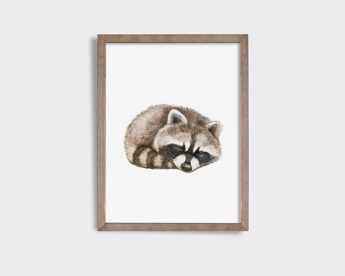 Sleeping Baby Raccoon Watercolor Woodland Forest Nursery Animal Poster