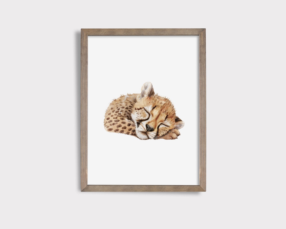 Sleeping Cheetah Cub Watercolor Safari Nursery Animal Poster