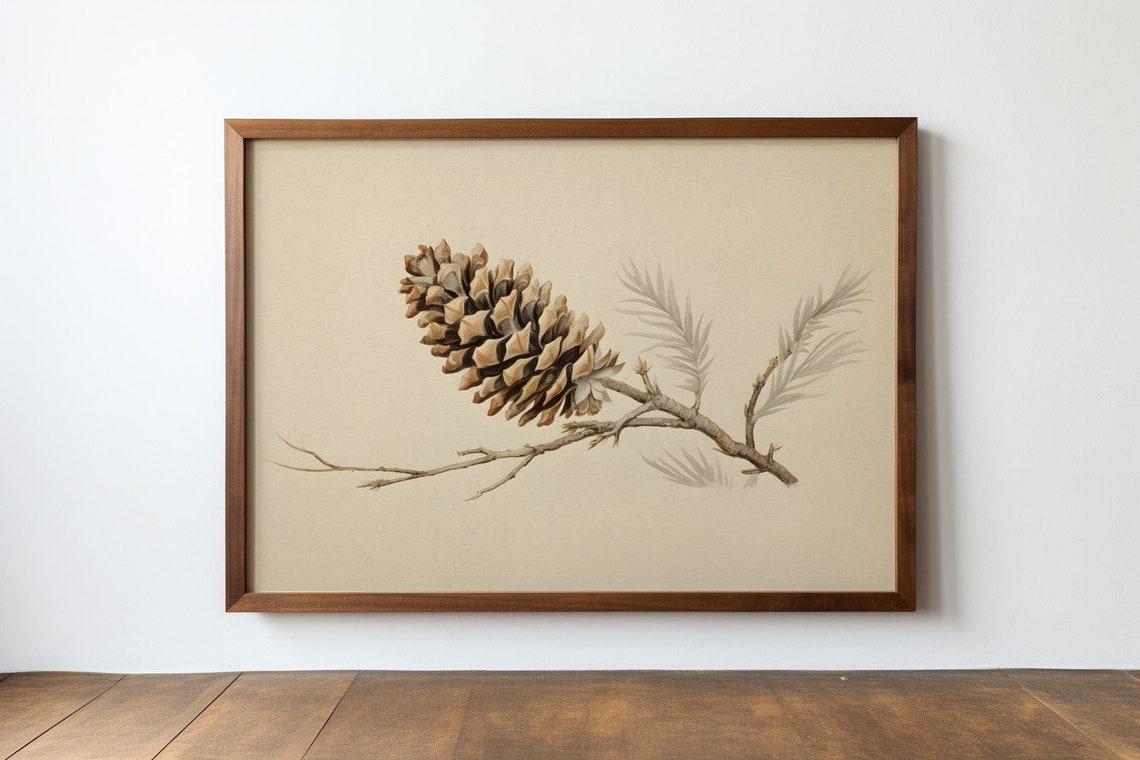 Pine Cone Study Antique Print - Image 2