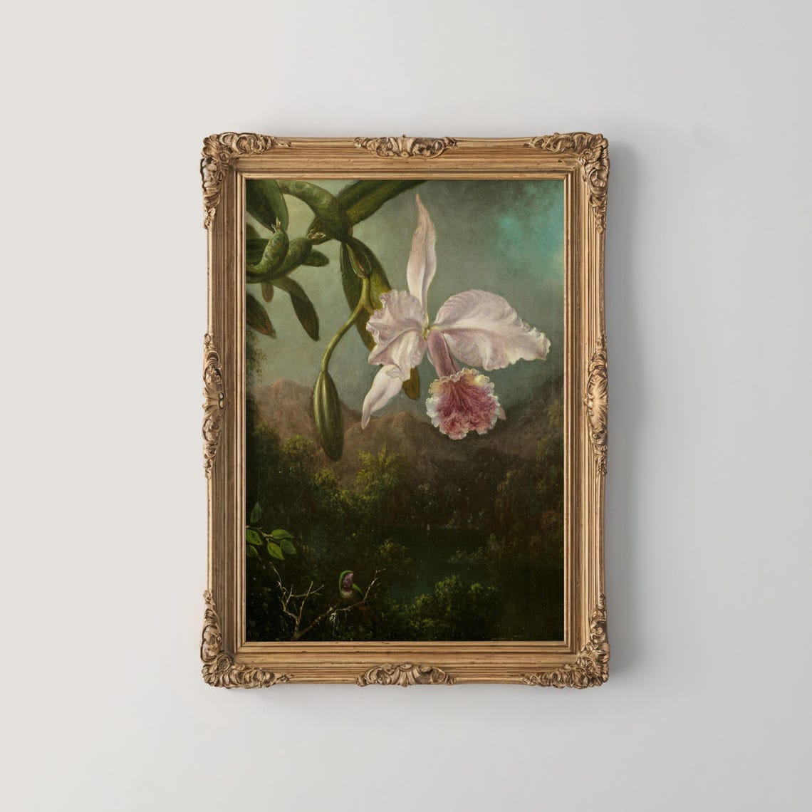 White Orchid Over A Dark Tropical Valley Oil Painting Style Print