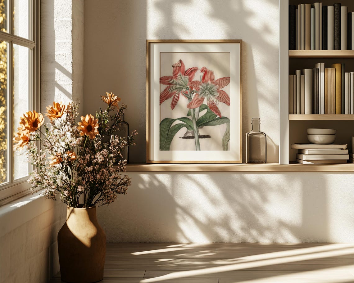 Red And White Striped Amaryllis Vintage Botanical Study Print - Image 6