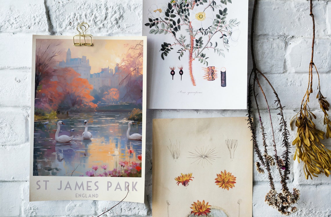St James Park London Swans Lake Autumn Sunset Romance Poster - Image 4