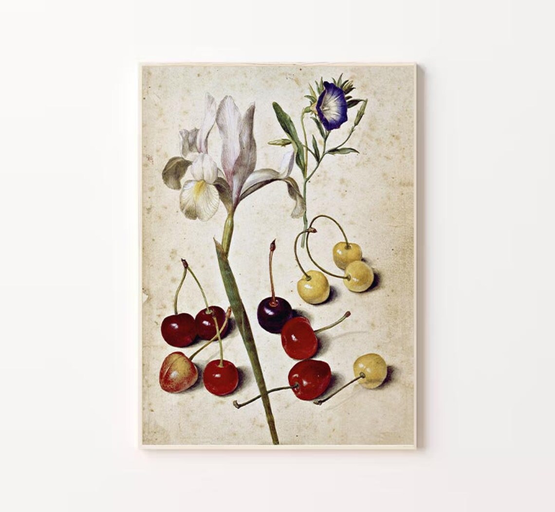 Vintage Botanical Fruit Illustration Farmhouse Kitchen Poster