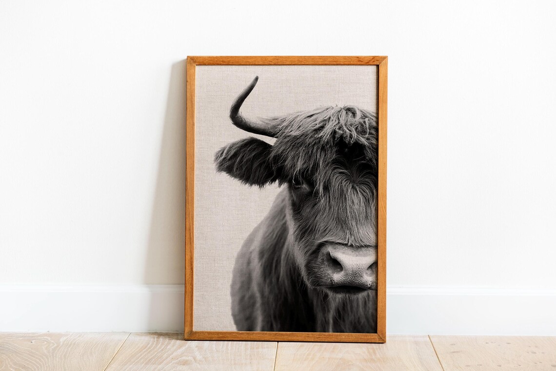 Shaggy Highland Cow Black And White Close-Up Photography Wall Art - Image 5