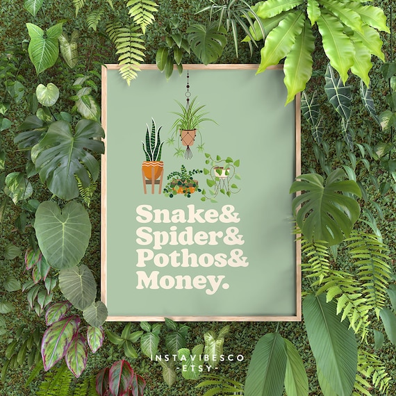 Snake Spider Pothos Money Houseplant Names Retro Green Quote Poster