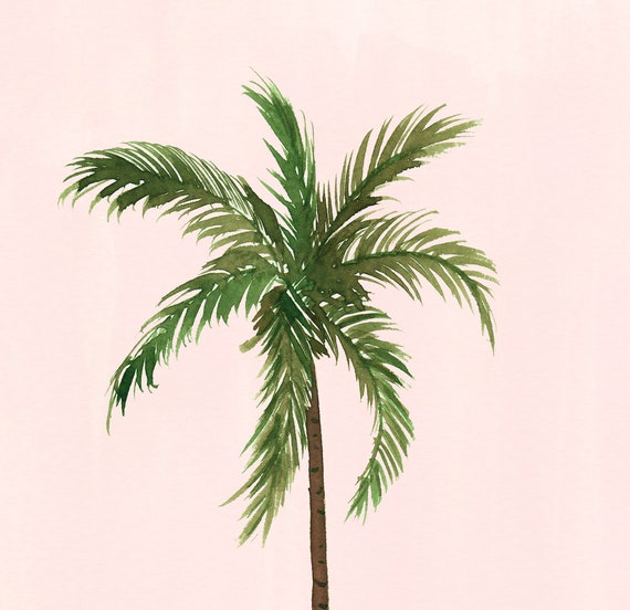 Palm Tree Art Print Sabina Fenn Illustration Tropical Artwork Watercolour Wall Decor Minimal Simple Pink Green Botanical Painting