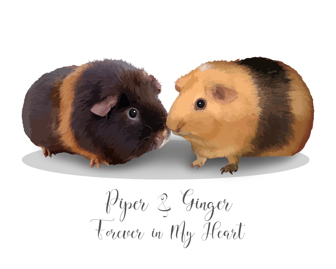 Portrait Of 2 Guinea Pigs Hamster Portrait Illustration Pet Portrait Hamster Gift Pet Memorial Guinea Pig Guinea Pig Picture - Image 2