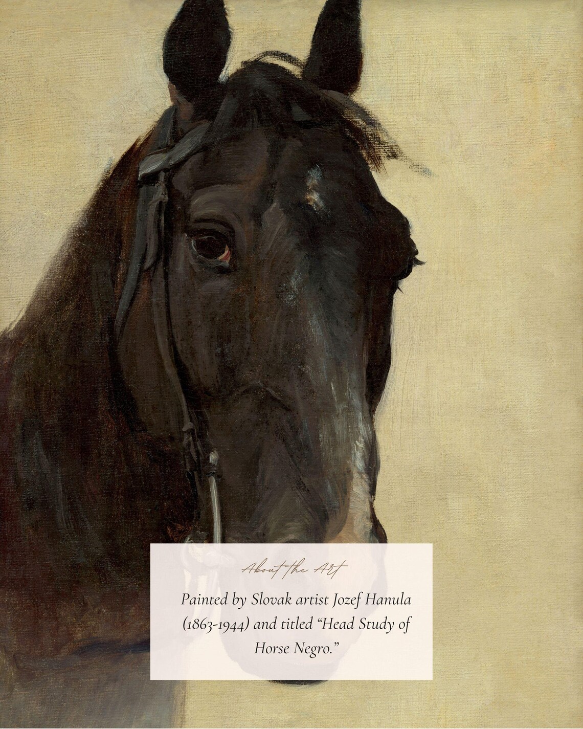 Vintage Horse Study Art Print, Equestrian Decor - Image 2