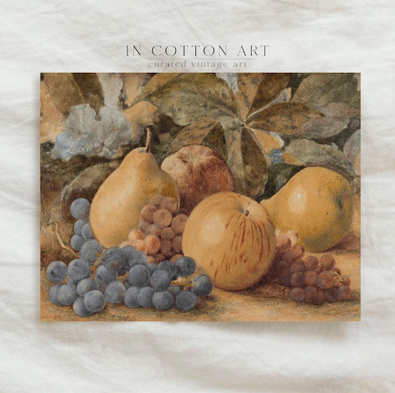Vintage Fruit Still Life Painting Antique Kitchen Wall Decor Warm Neutral Art Print P164