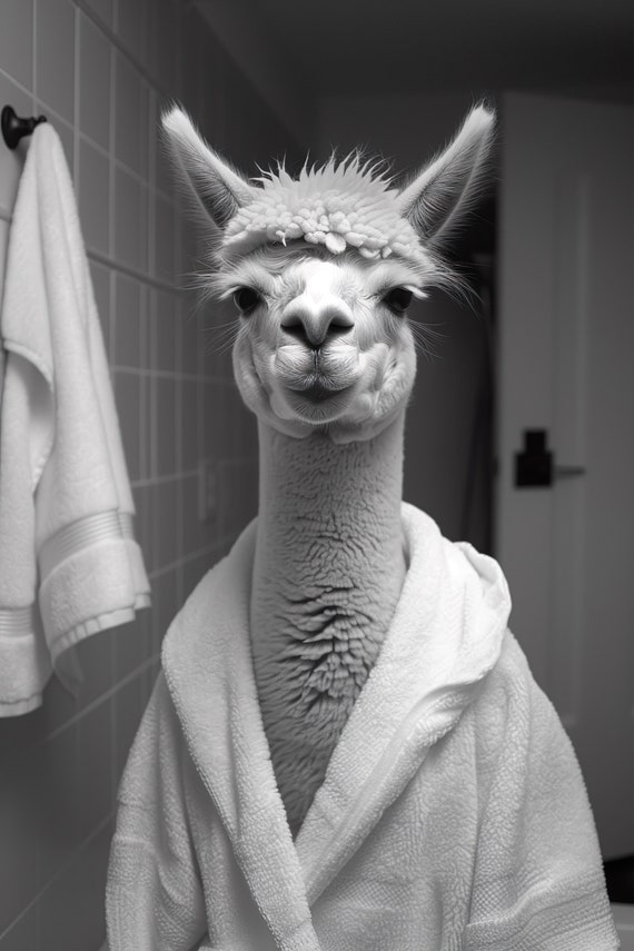 Alpaca In A Bathrobe Funny Bathroom Wall Art Quirky Animal Art Funny Alpaca In Bath Humor Print Home Ai Wall Art Prints