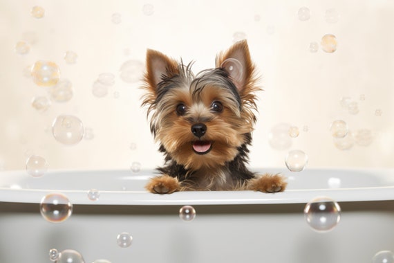 Yorkshire Terrier Pup In The Bathtub Cute Dog Photograph Bubble Bath Funny Animal Prints Funny Bathroom Wall Art Ai Art
