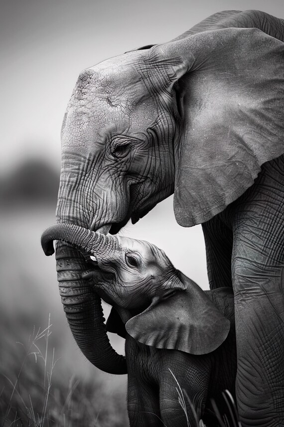 Mom and Baby Elephant Cute Vintage Style Art Print