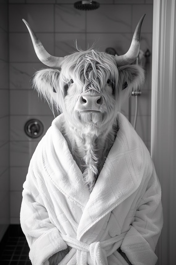 Highland Cow In A Bathrobe Funny Bathroom Wall Art Quirky Animal Art Funny Cow In Bath Humor Print Home Ai Wall Art Prints