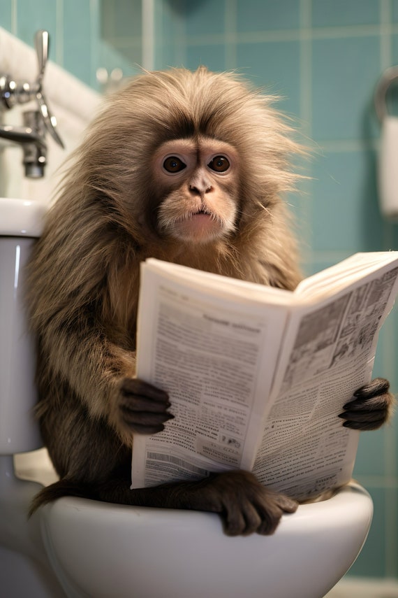Marmoset Monkey Sitting On The Toilet Reading A Newspaper Funny Bathroom Wall Art Funny Monkey Print Animal Photo Ai Art