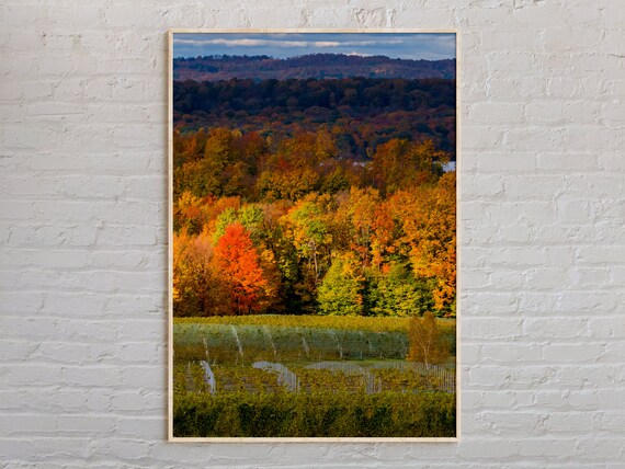 Traverse City Michigan Autumn Vineyard Hills Landscape Photo Poster