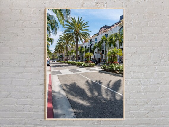 Rodeo Drive Beverly Hills Palm Trees Los Angeles Street Photo Poster